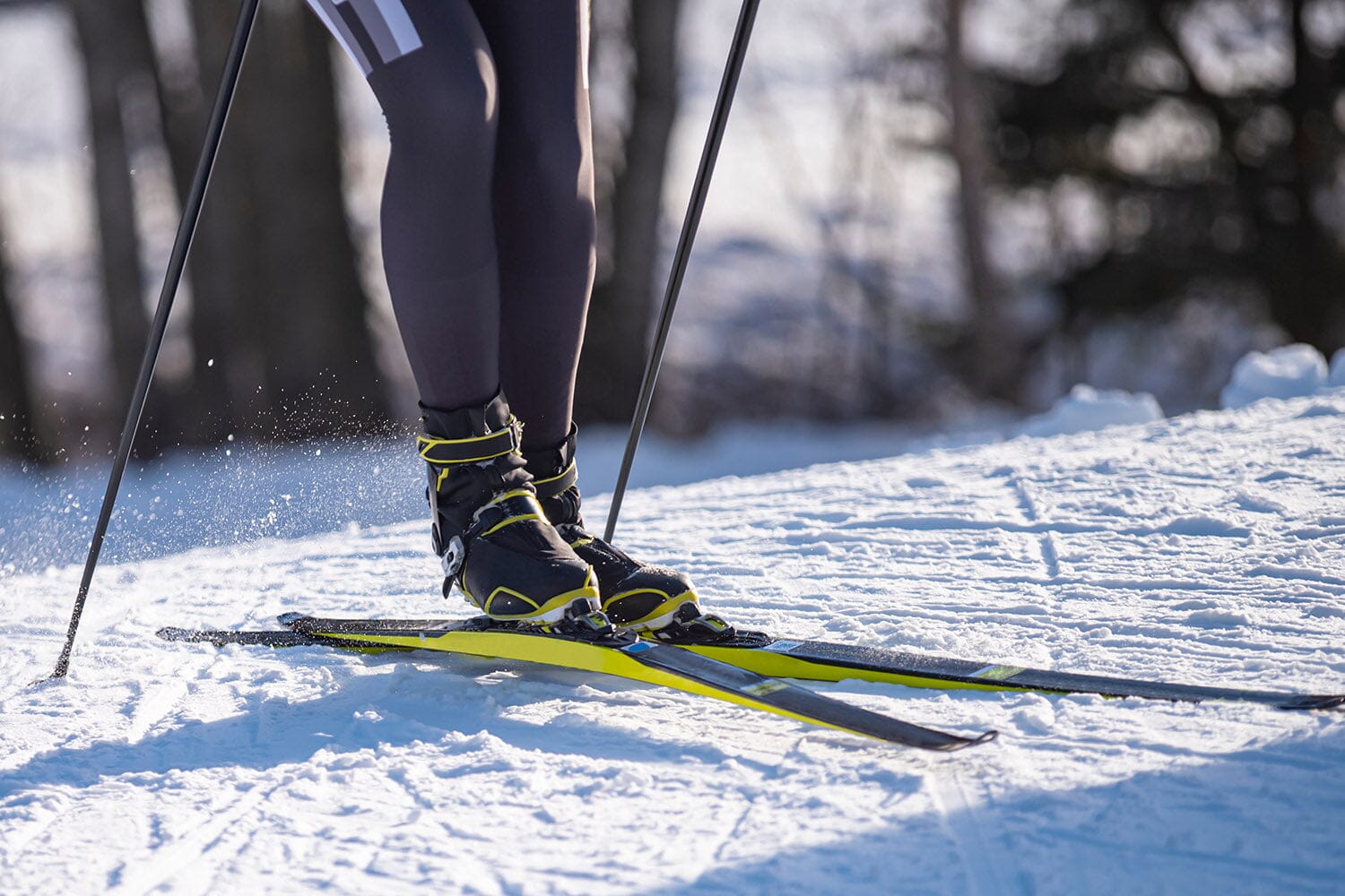 How to choose cross-country skis