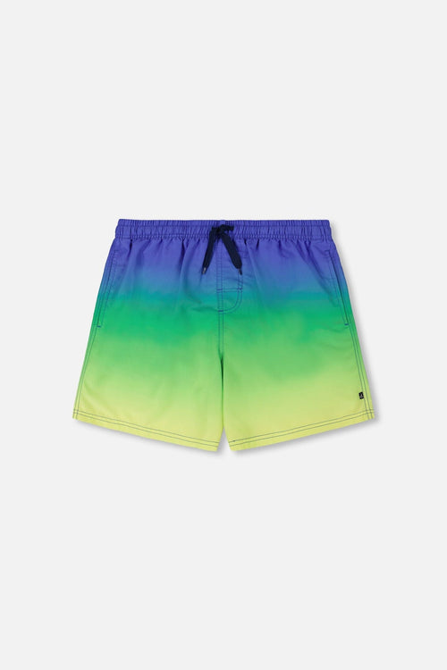 Swim Trunks Blue, Green, And Lime Gradient - G30NM11_000