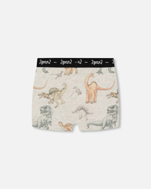 Printed Organic Cotton Boxer Shorts Dinosaur On Mottled And Tan Background - G30PB60_046