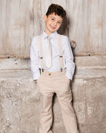 Neck Tie Light Taupe Striped - G30RCR_147