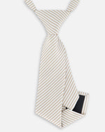 Neck Tie Light Taupe Striped - G30RCR_147