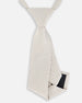 Neck Tie Light Taupe Striped - G30RCR_147