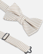 Bow Tie Light Taupe - G30RNP_147