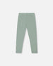 Organic Cotton Jersey Leggings Jade Green With Floral Detail - H20F60_325