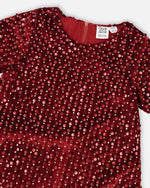 Velvet Short Sleeve Dress Red - H20OG85_775