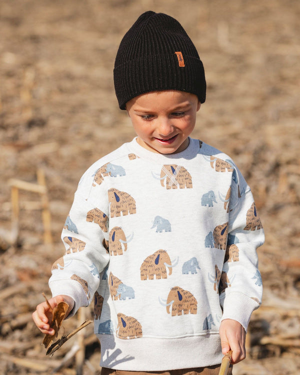 Long Sleeve Crew Neck Fleece Sweatshirt Beige Mammoth Print - H20S31_059