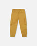 Twill Jogger Cargo Pants Ochre - H20YB20_241
