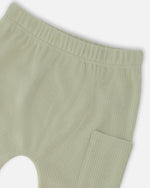 Organic Cotton Jersey T-Shirt And Cotton Rib Pants Set Beige Zebra Print And Sage Green - H30C14_3H054