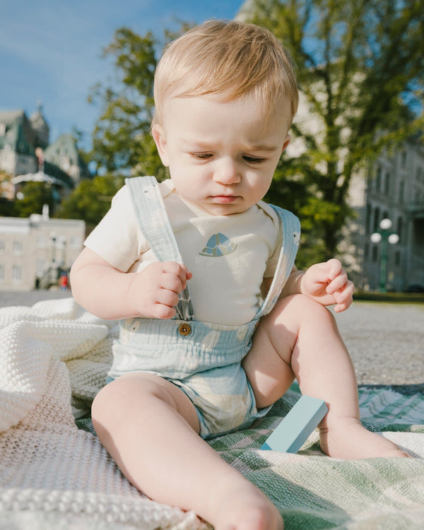 Organic Cotton Jersey Onesie And Muslin Shortall Set White And Blue Turtle Print - H30D11_3H061