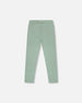 Organic Cotton Jersey Leggings Sage Green - H30K60_03400