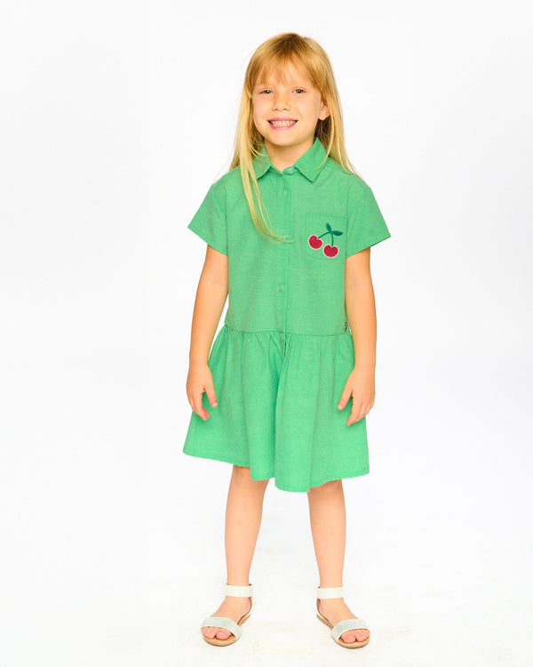 Cotton Shirt Dress With Embroidery Green - H30L88_03820
