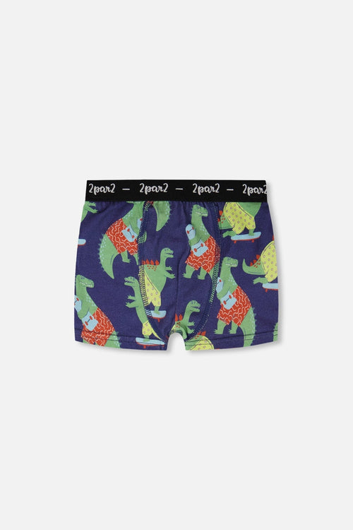 Organic Cotton Boxer Blue Dino Print - H30PB60_3H087