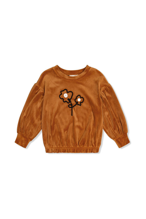 Velvet Top Brown - J20H71_09100