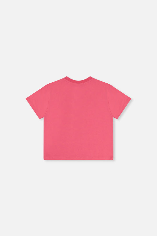 Jersey T-Shirt Pink - J20J70_06390