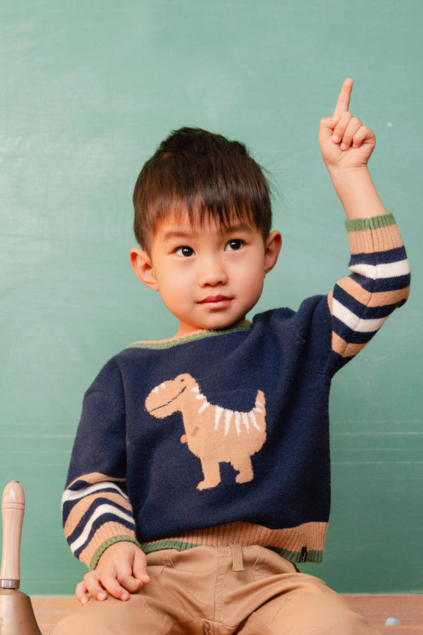 Knit Sweater With Intarsia Dark Blue, Brown And Beige - J20TT30_04810