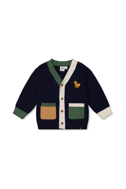 Baby-Strickjacke mit Dino in Dunkelblau, Grün und Gelb