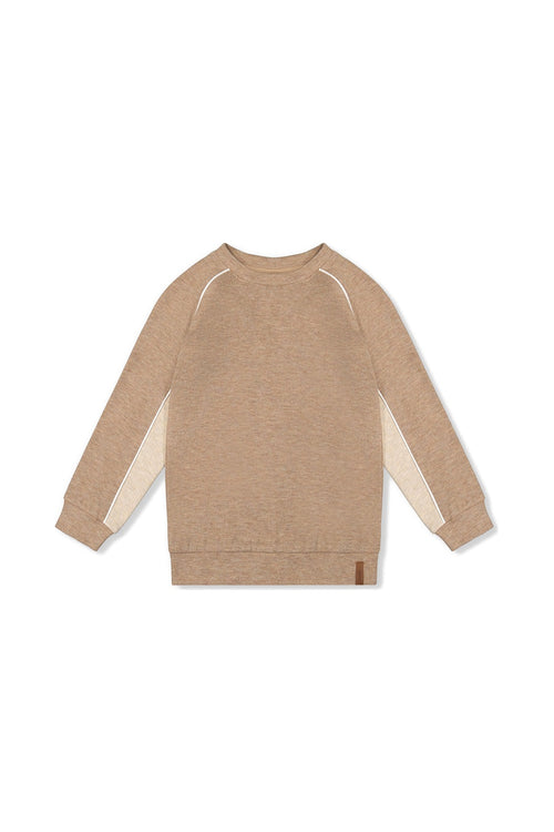 Brushed Jersey Top With Raglan Sleeves Taupe - J20U09_09540
