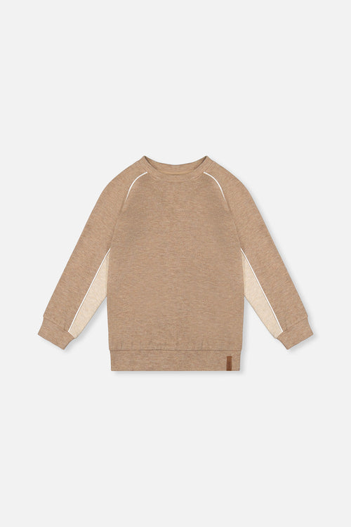 Brushed Jersey Top With Raglan Sleeves Taupe - J20U09_09540