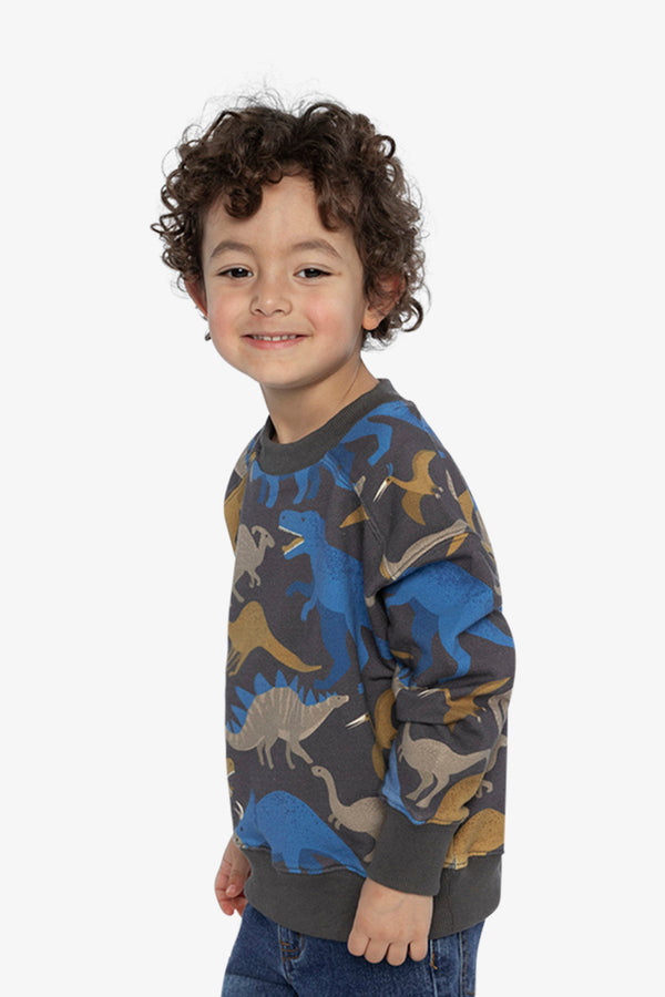 Fleece Sweatshirt Grey Dinosaur Print - J20U37_2J057