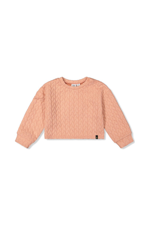 Jacquard Sweatshirt Pink - J20YG32_08100