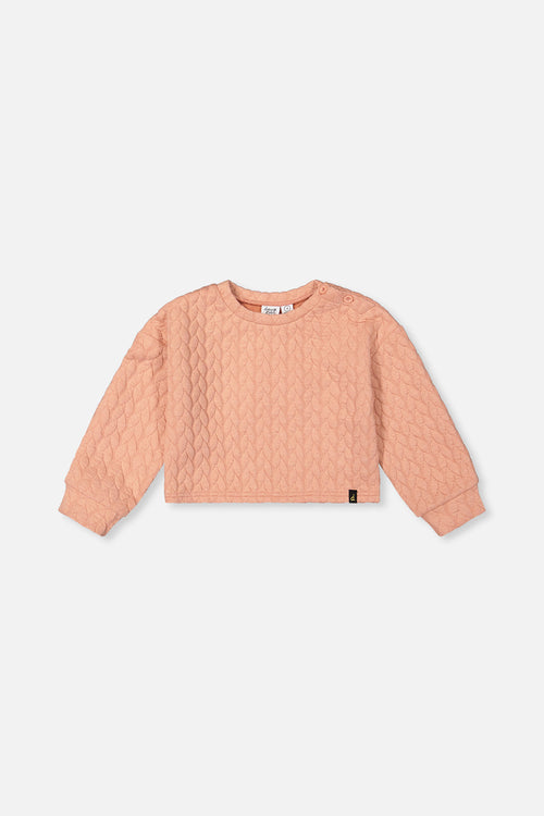 Jacquard Sweatshirt Pink - J20YG32_08100