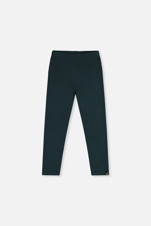 Rib Leggings Jasper Printed Green - J20YG60_03013