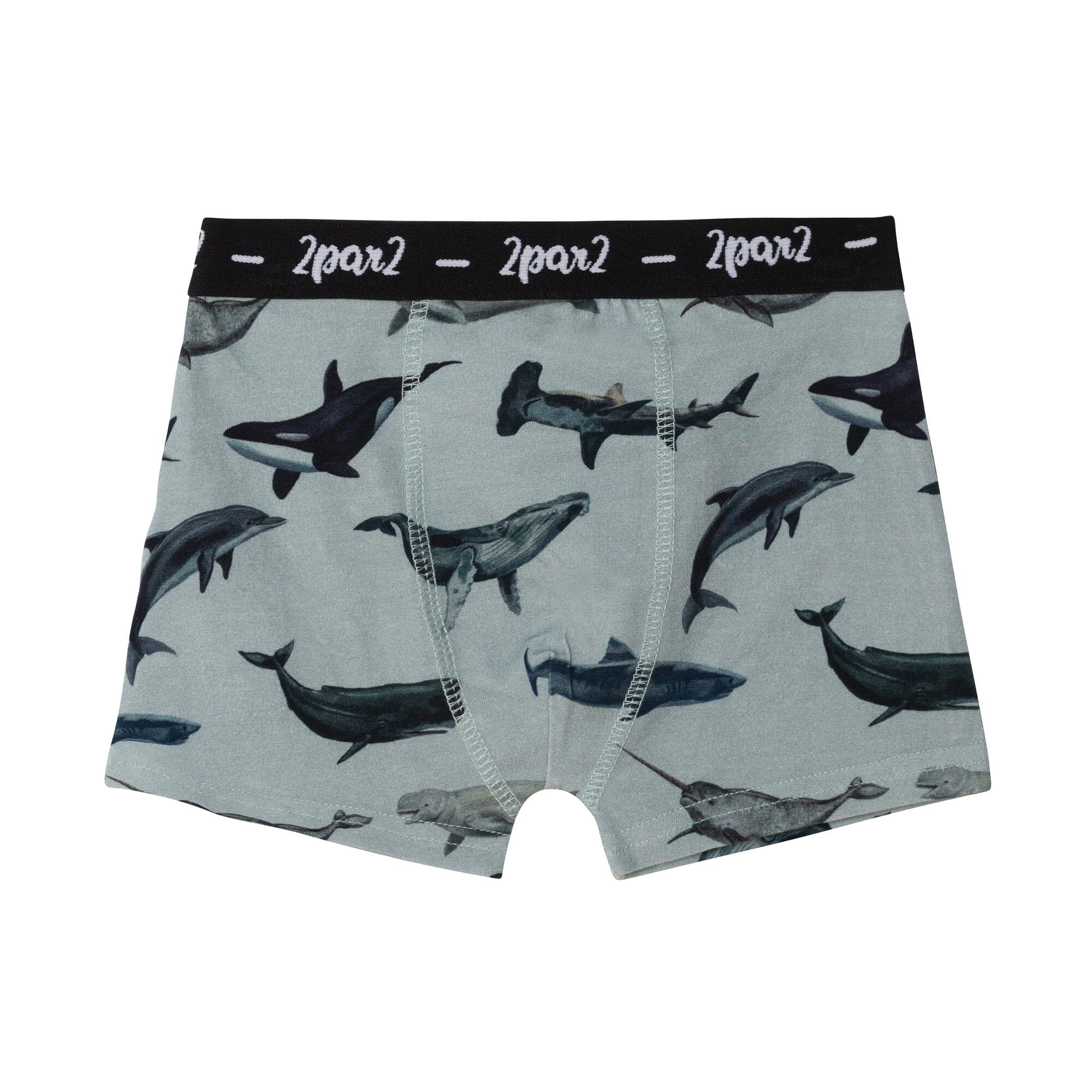 Boxer briefs modal soft waistband flat border shark pirate royal blue -  Capt'n Sharky