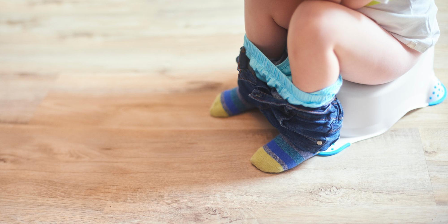 How to potty train toddler