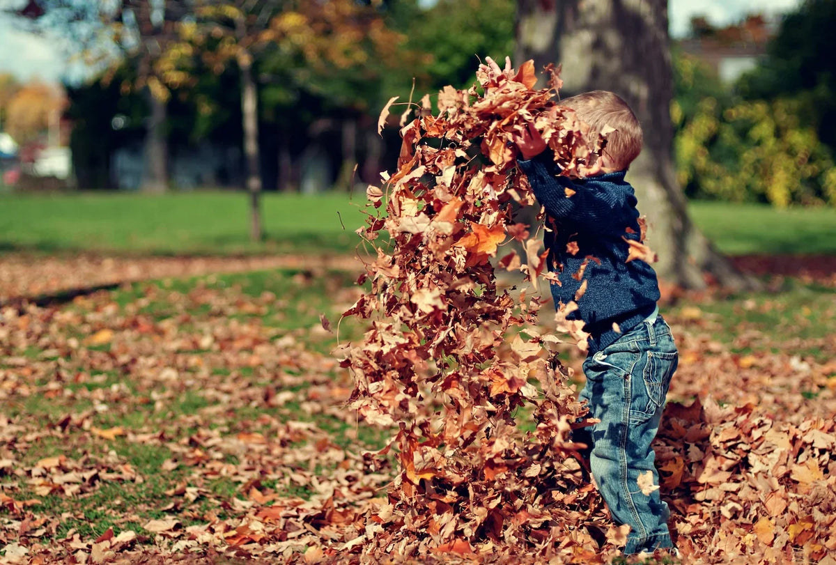 fall activities quebec