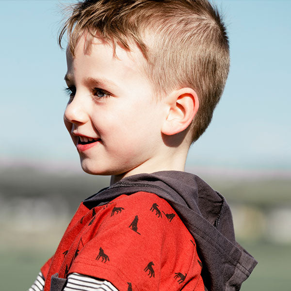 The Bear And The Forest