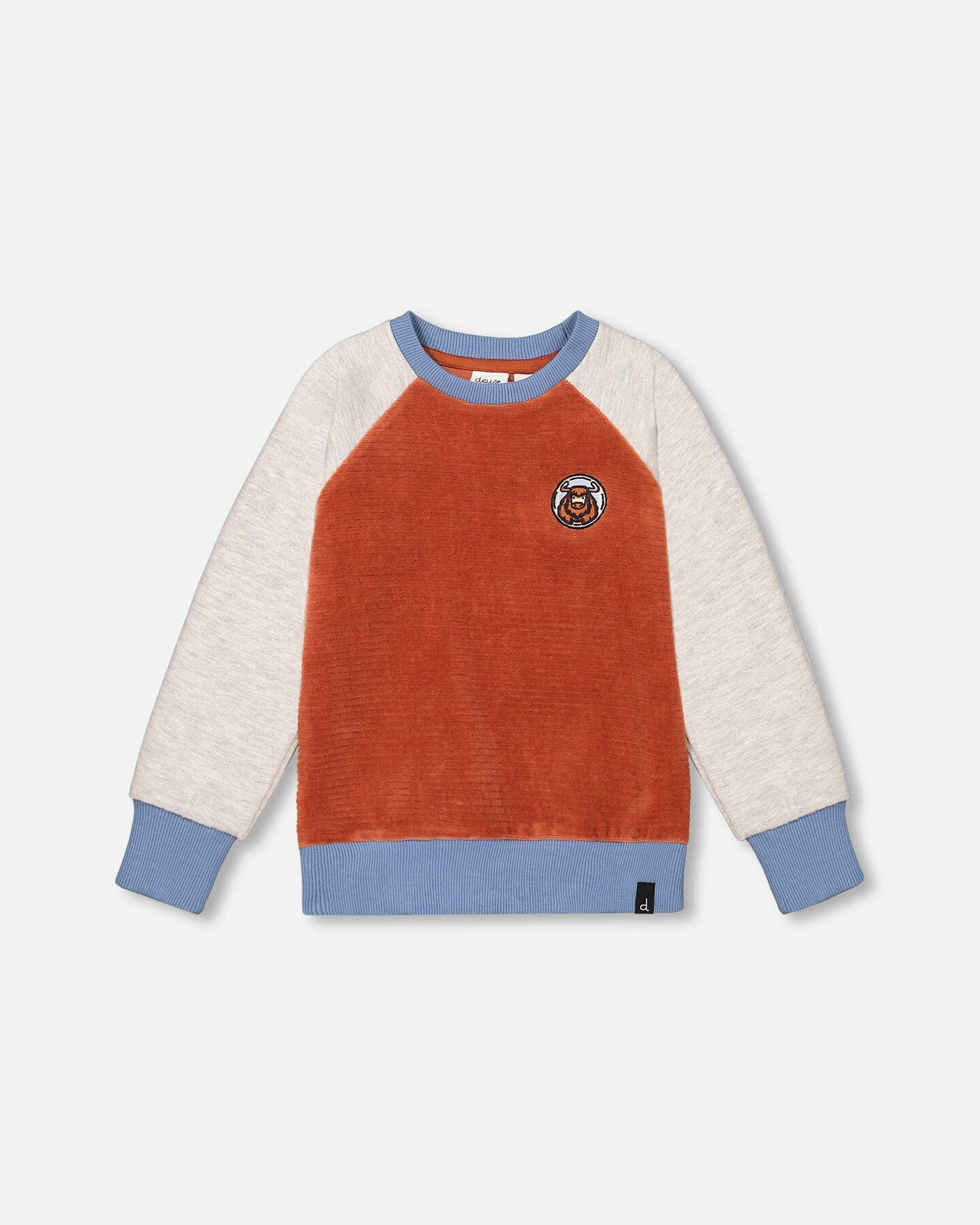 Color Block Raglan Velvet Rib Sweatshirt Burnt Orange - F20S73_959