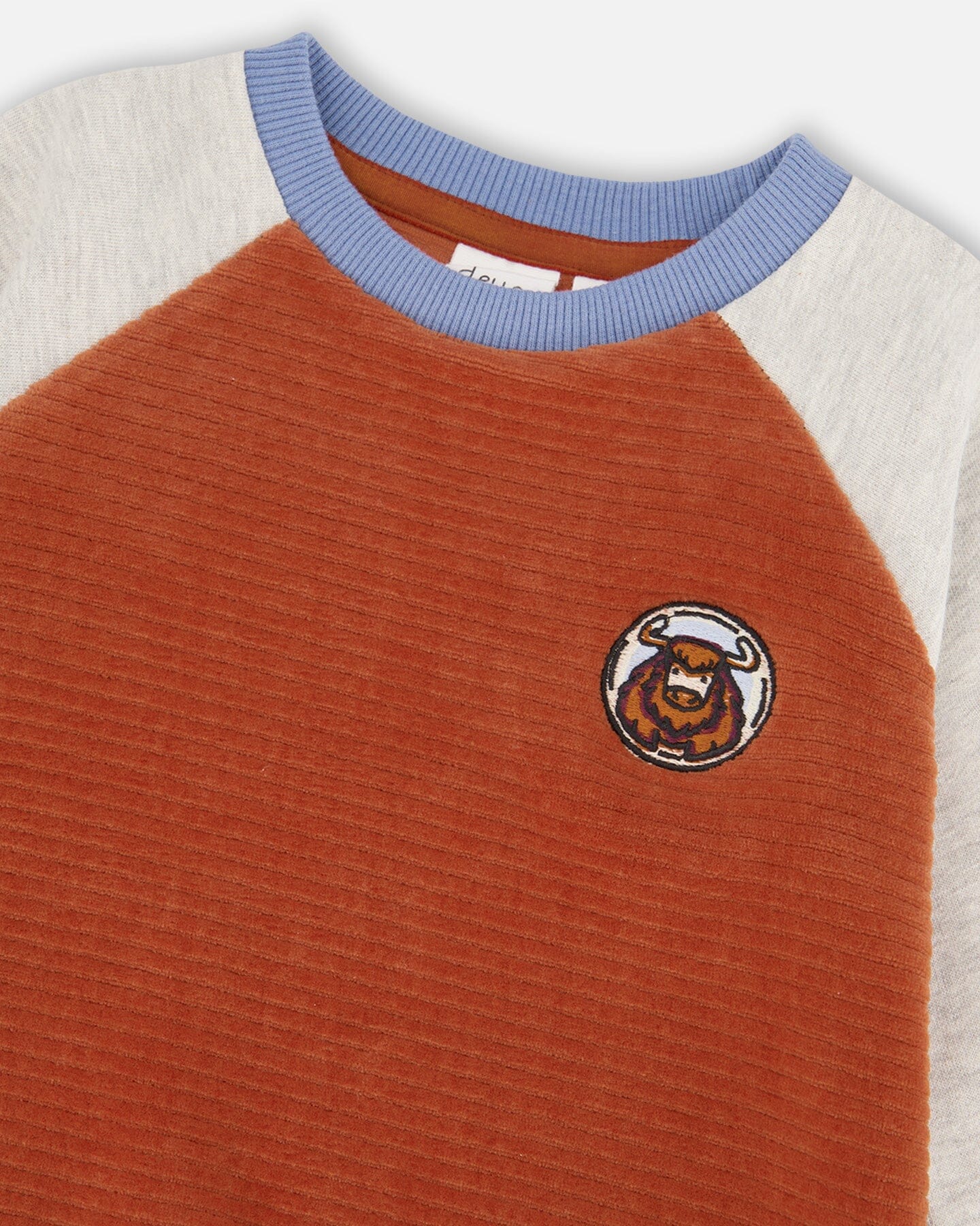 Color Block Raglan Velvet Rib Sweatshirt Burnt Orange - F20S73_959