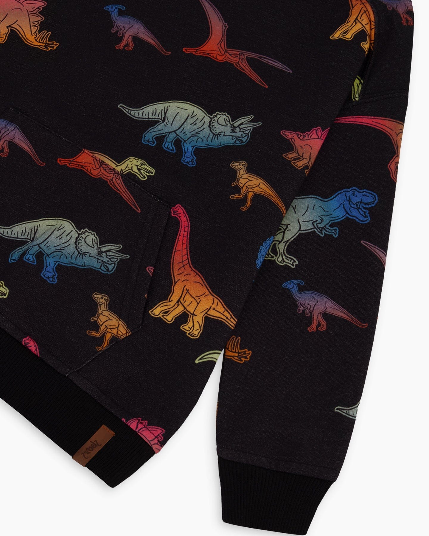 Printed Multicolor Dinosaur Fleece Hoodie Black - F20U36_999