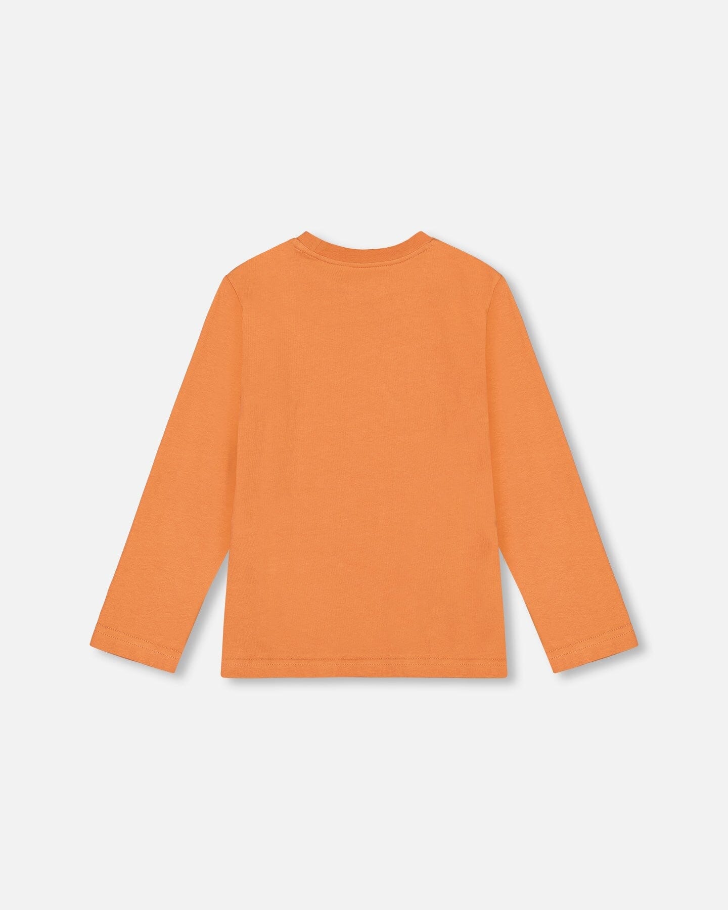 Jersey T-Shirt With Print Burnt Orange - F20U74_959