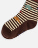 Socks Brown And Beige Stripe - F20YBS_989