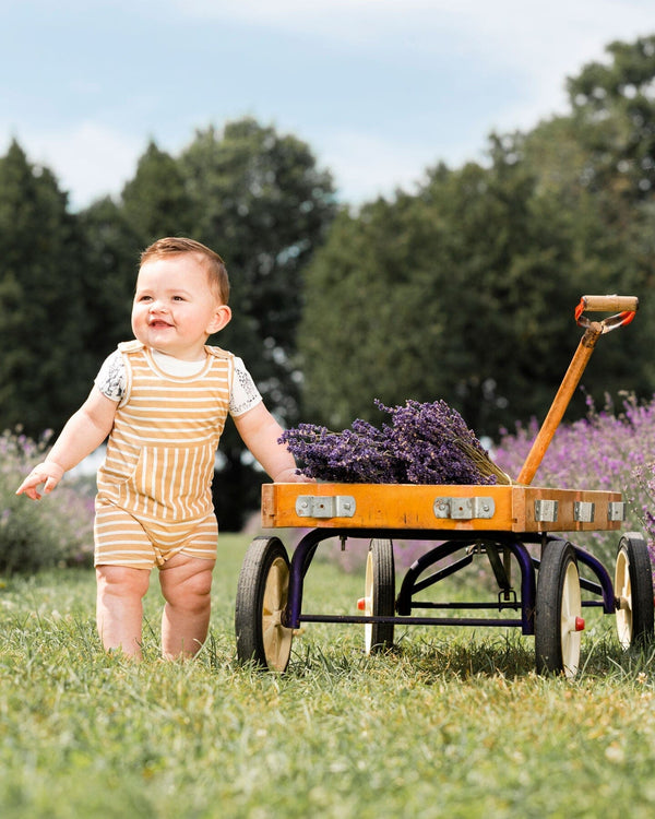 Organic Cotton Onesie And Shortall Set Sand Stripe - F30D11_077