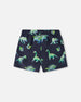 Men'S Boardshort Grey Printed Dinosaurs - F30NM11_051