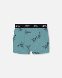 Organic Cotton Boxer Short Teal With Mechanical Dinosaurs Print - F30PB60_063