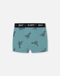 Organic Cotton Boxer Short Teal With Mechanical Dinosaurs Print - F30PB60_063