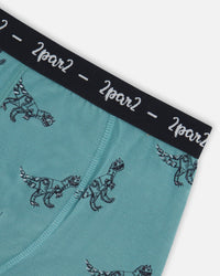 Organic Cotton Boxer Short Teal With Mechanical Dinosaurs Print - F30PB60_063