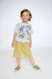 Organic Cotton T-Shirt With Dino Print Light Gray Mix - F30S70_191