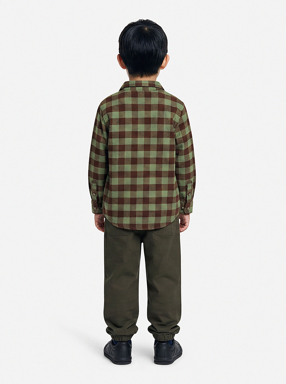 Buffalo Check