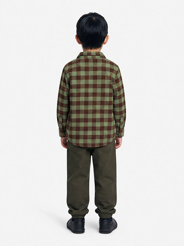Buffalo Check