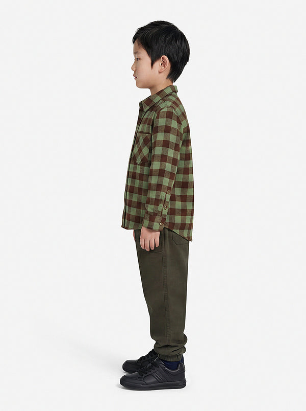 Buffalo Check