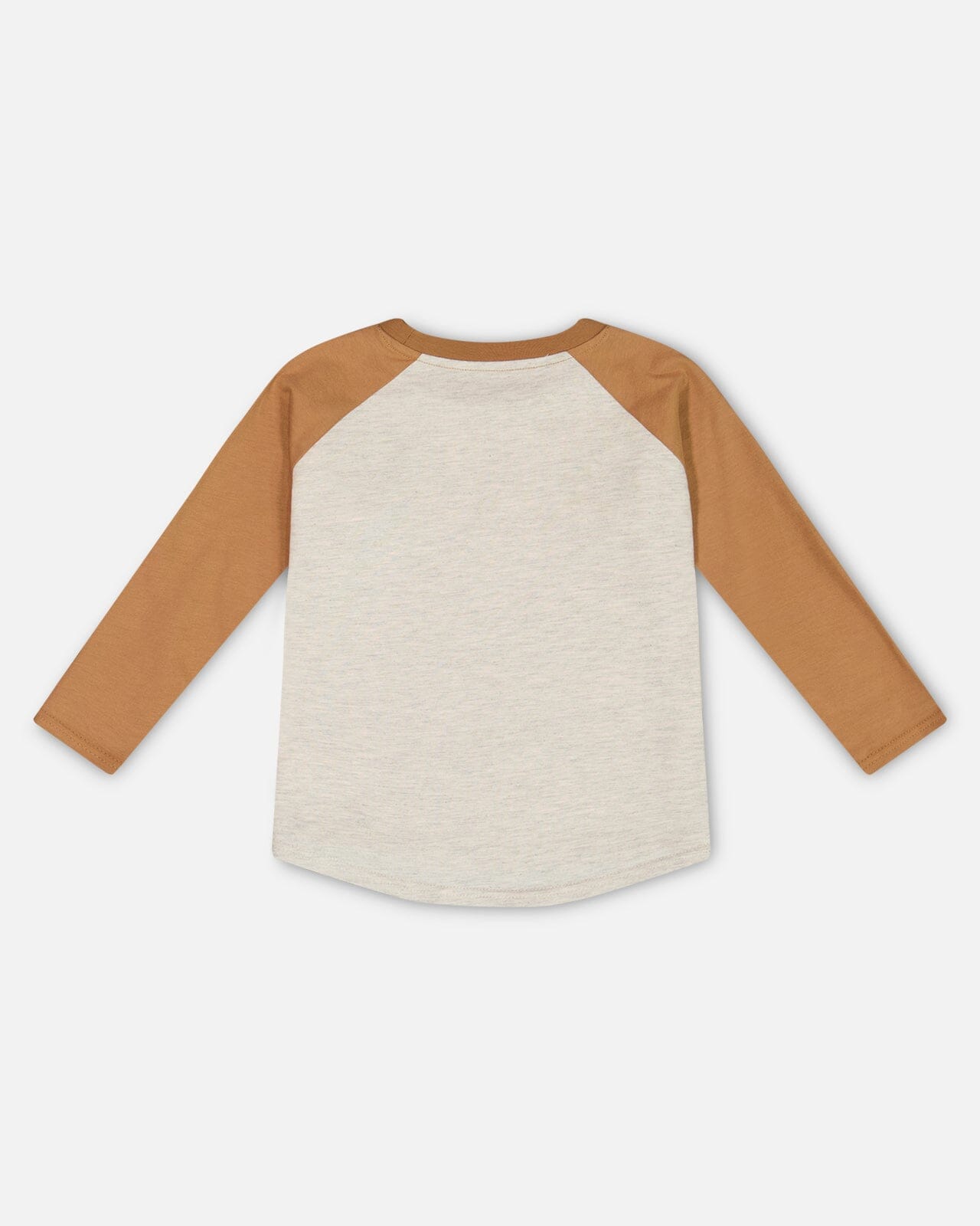 Raglan T-Shirt With Print Brown And Beige Mix - G20U73_193