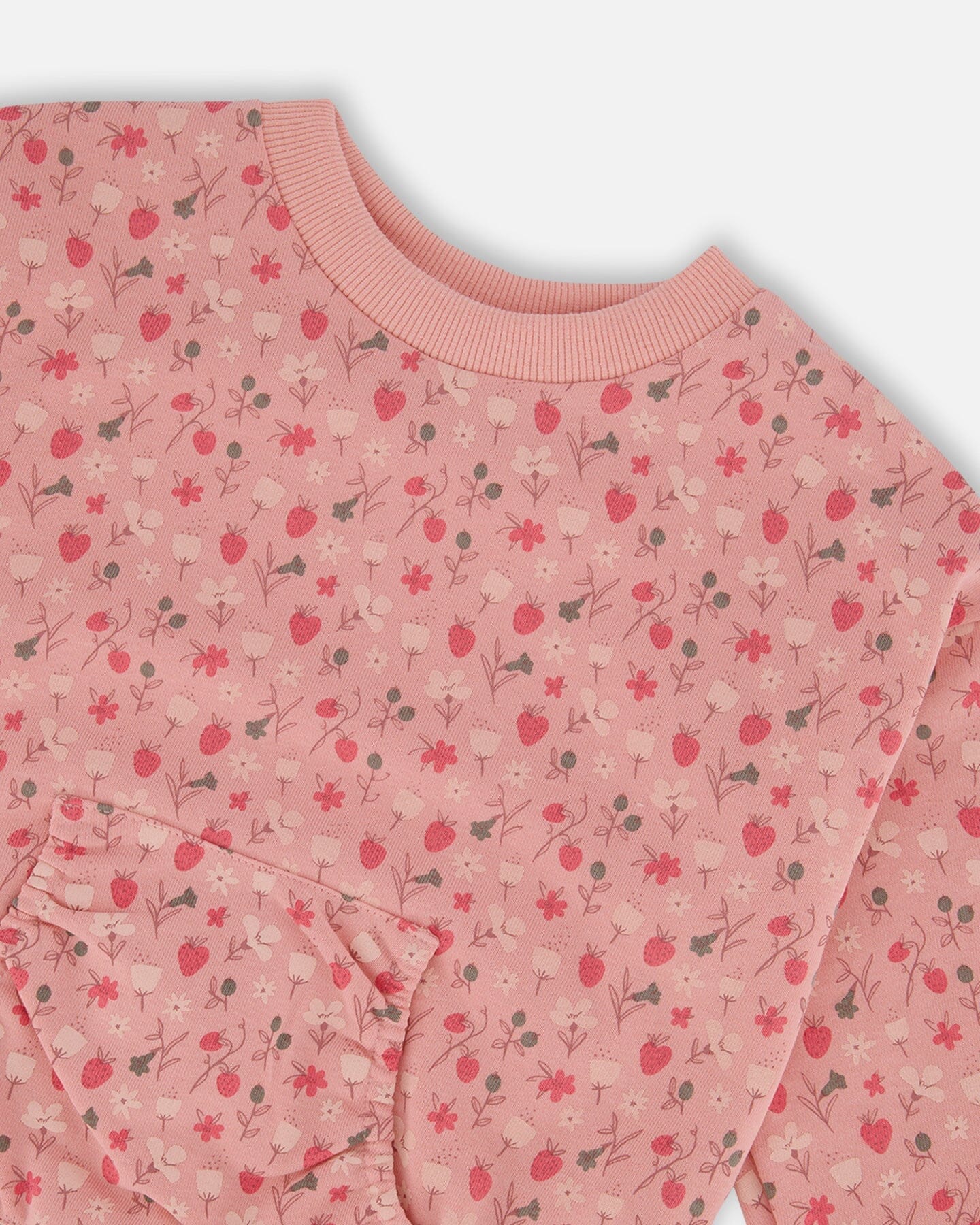 Printed French Terry Sweatshirt Old Pink And Flowers - G30I30_099