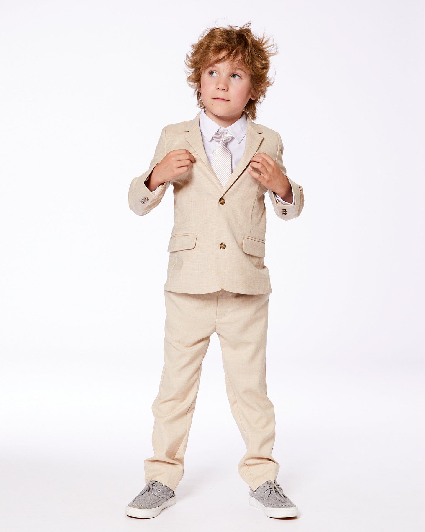 Neck Tie Light Taupe Striped - G30RCR_147