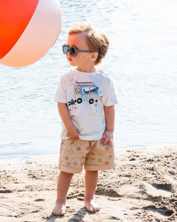 Short Sleeve Top And French Terry Short Set Beige With Palm Trees And Blue Truck - G30T10_084