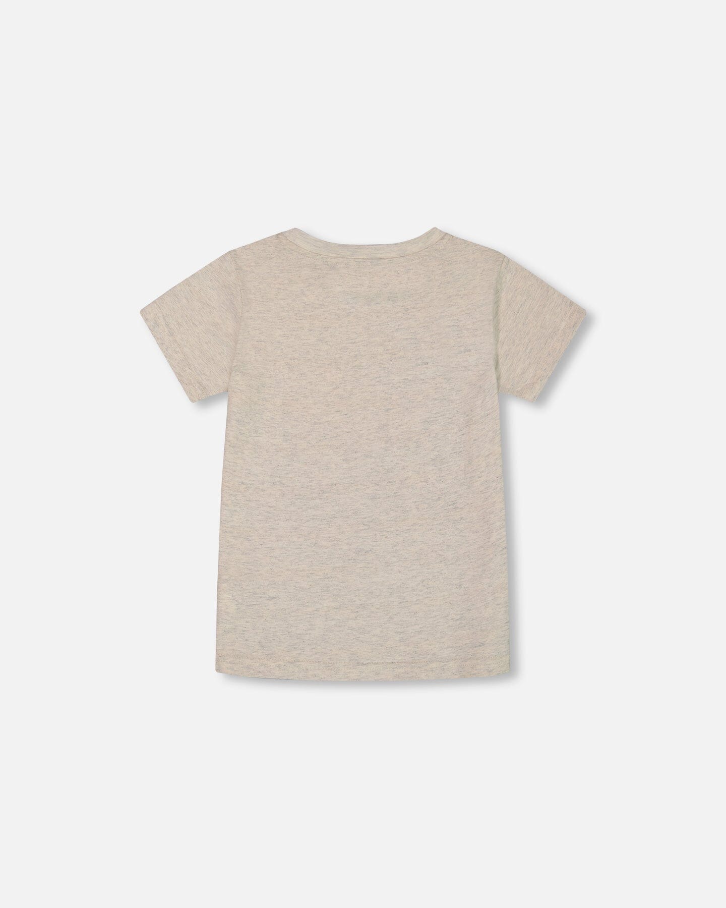 Organic Cotton Graphic Tee Light Gray Shimmer - G30U71_193