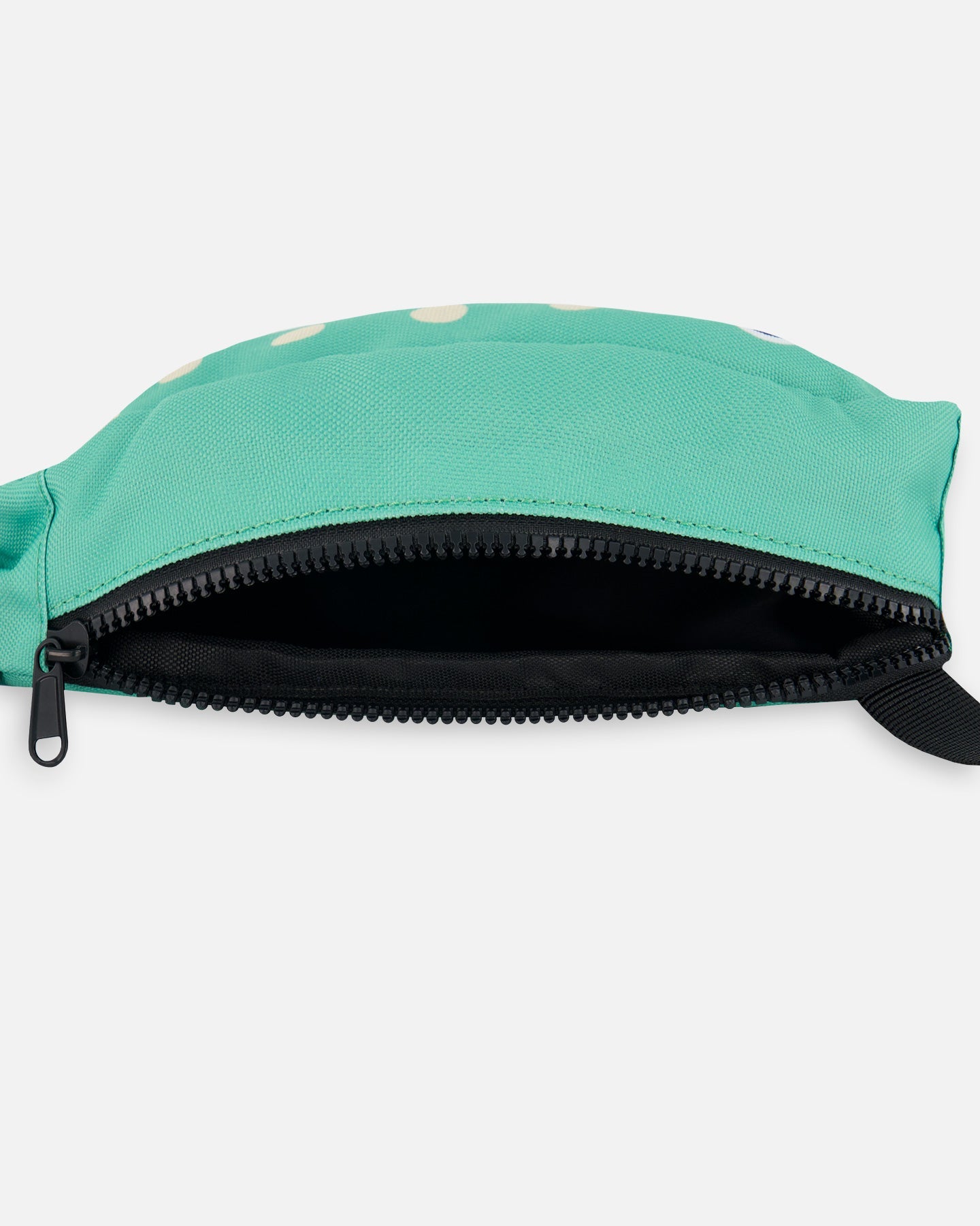 Fish Fanny Pack Green - G30VF1_358